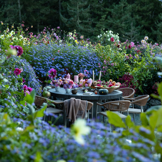Quiet dining in the Farmluxe Garden at sunset