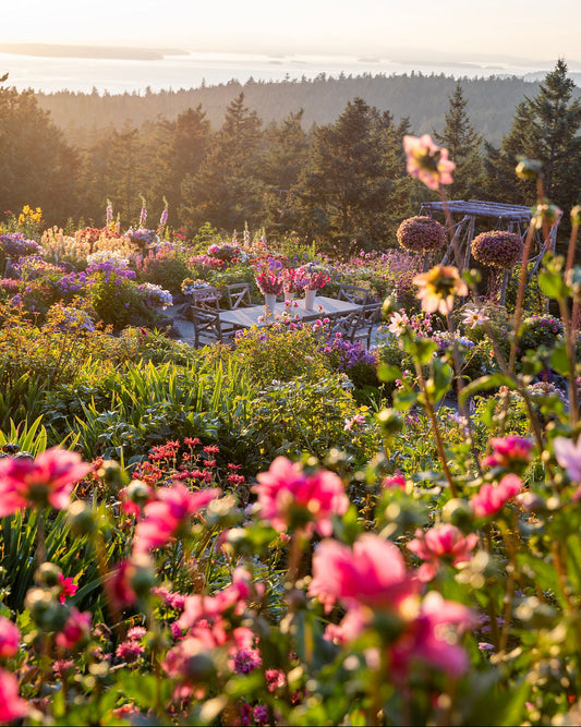 Hotel Garden Design by Farmluxe