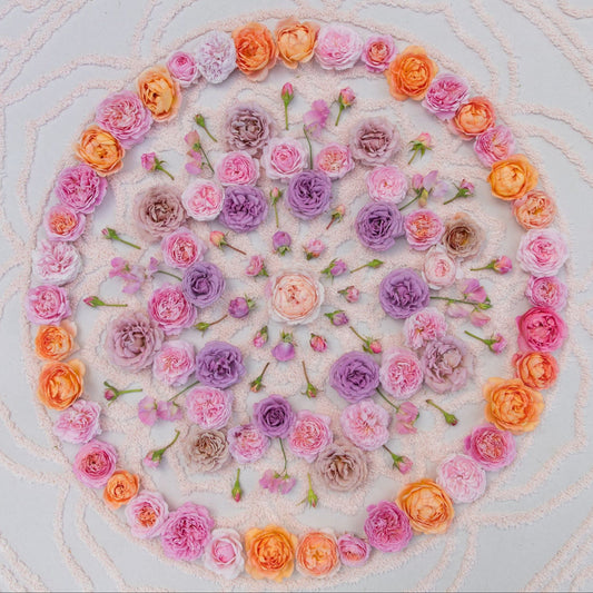 floral mandala workshop with Farmluxe Retreats