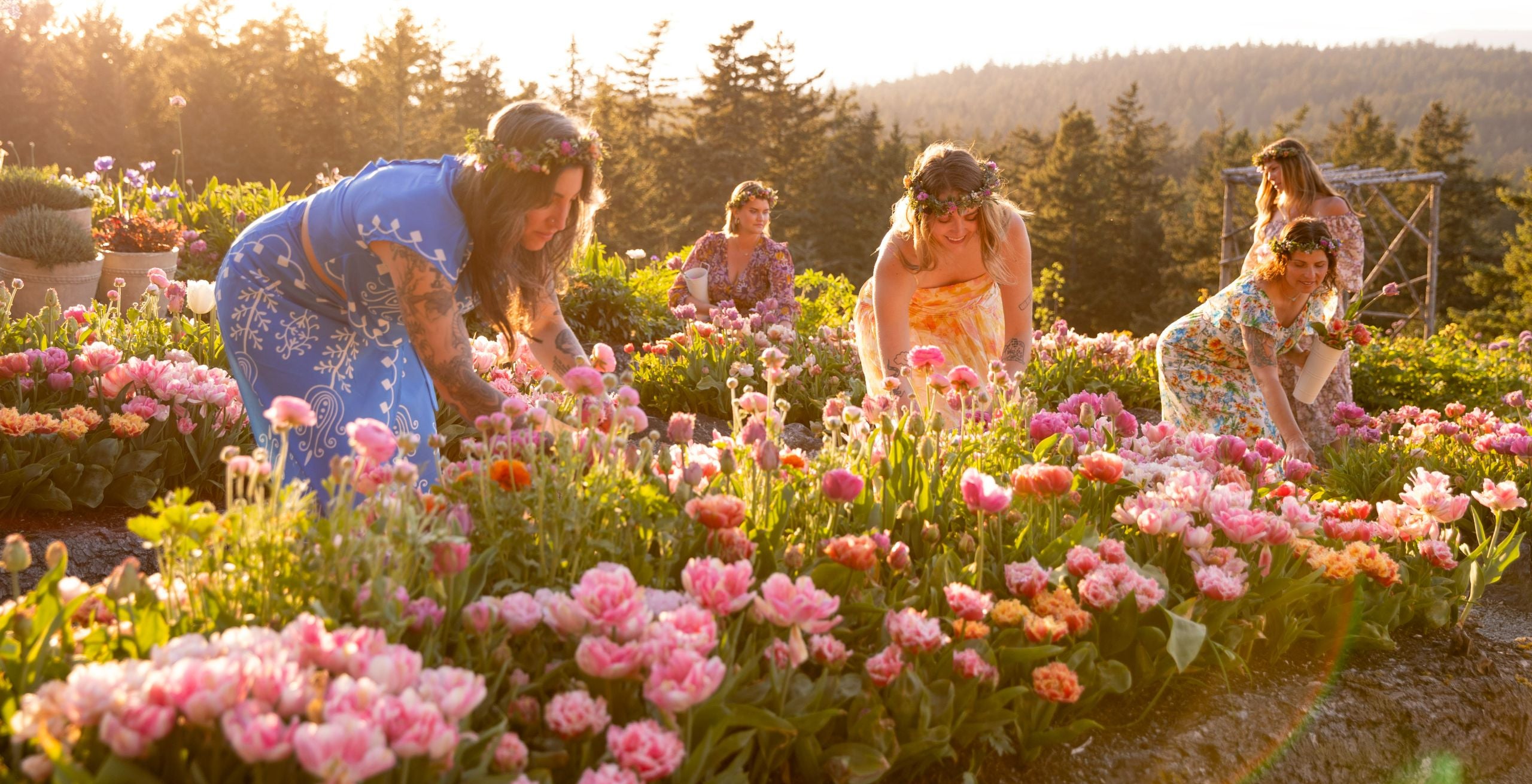 San Juan Island April 2027 Retreat | Farmluxe Tulip Dreamscape